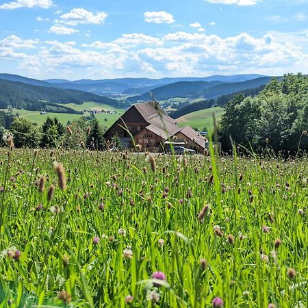Haberjockelshof Erlebnishof Apartman Titisee-Neustadt Kültér fotó