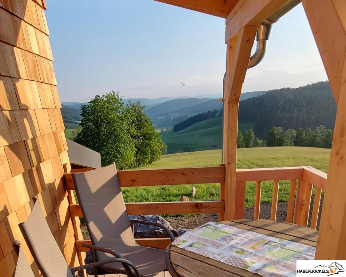 Haberjockelshof Erlebnishof Apartman Titisee-Neustadt Kültér fotó