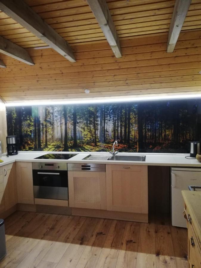 Haberjockelshof Erlebnishof Apartman Titisee-Neustadt Kültér fotó