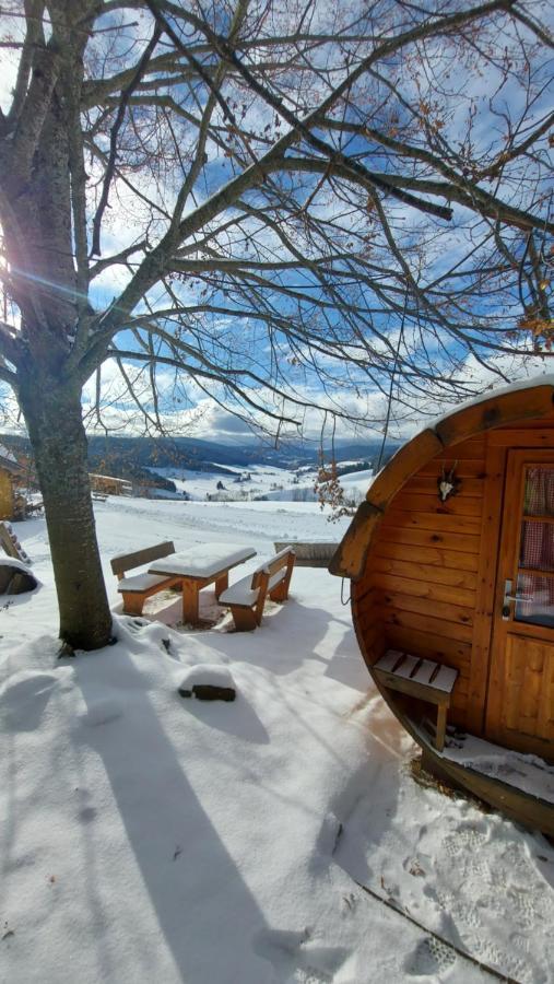 Haberjockelshof Erlebnishof Apartman Titisee-Neustadt Kültér fotó