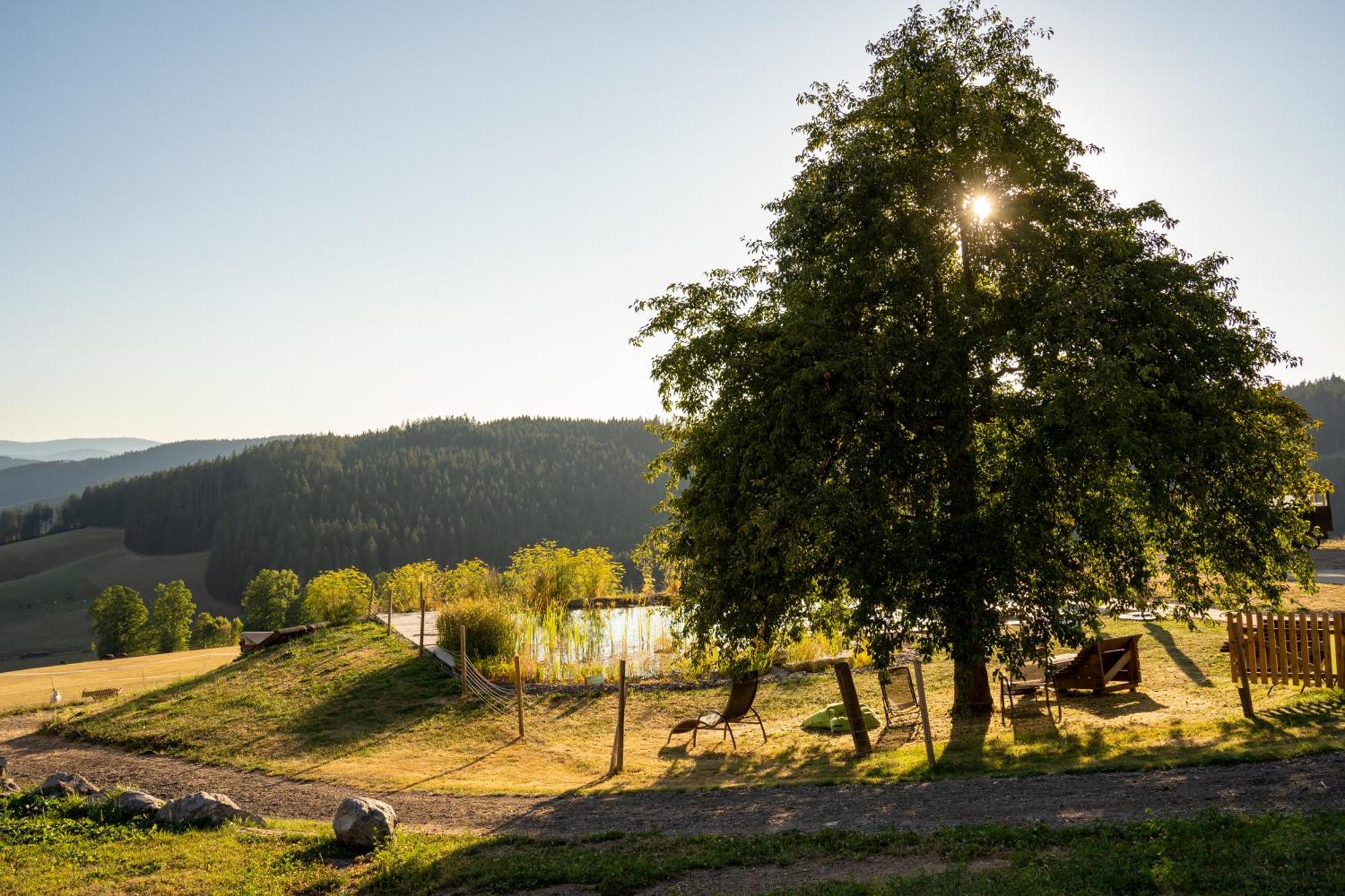 Haberjockelshof Erlebnishof Apartman Titisee-Neustadt Kültér fotó