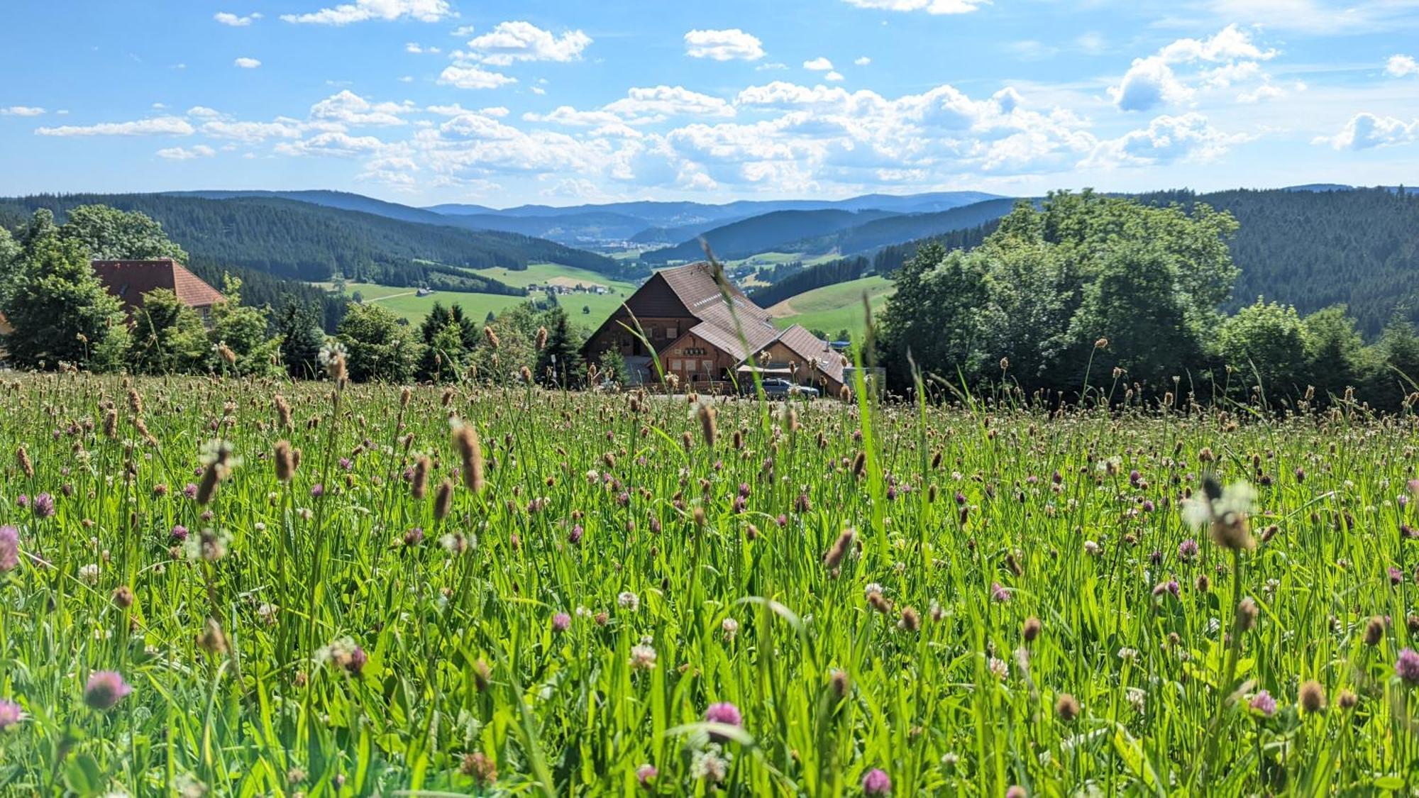 Haberjockelshof Erlebnishof Apartman Titisee-Neustadt Kültér fotó